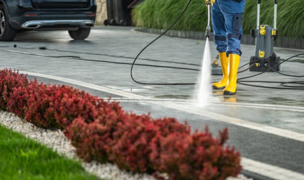 Best Roof Pressure Washing  in Griffith, IN